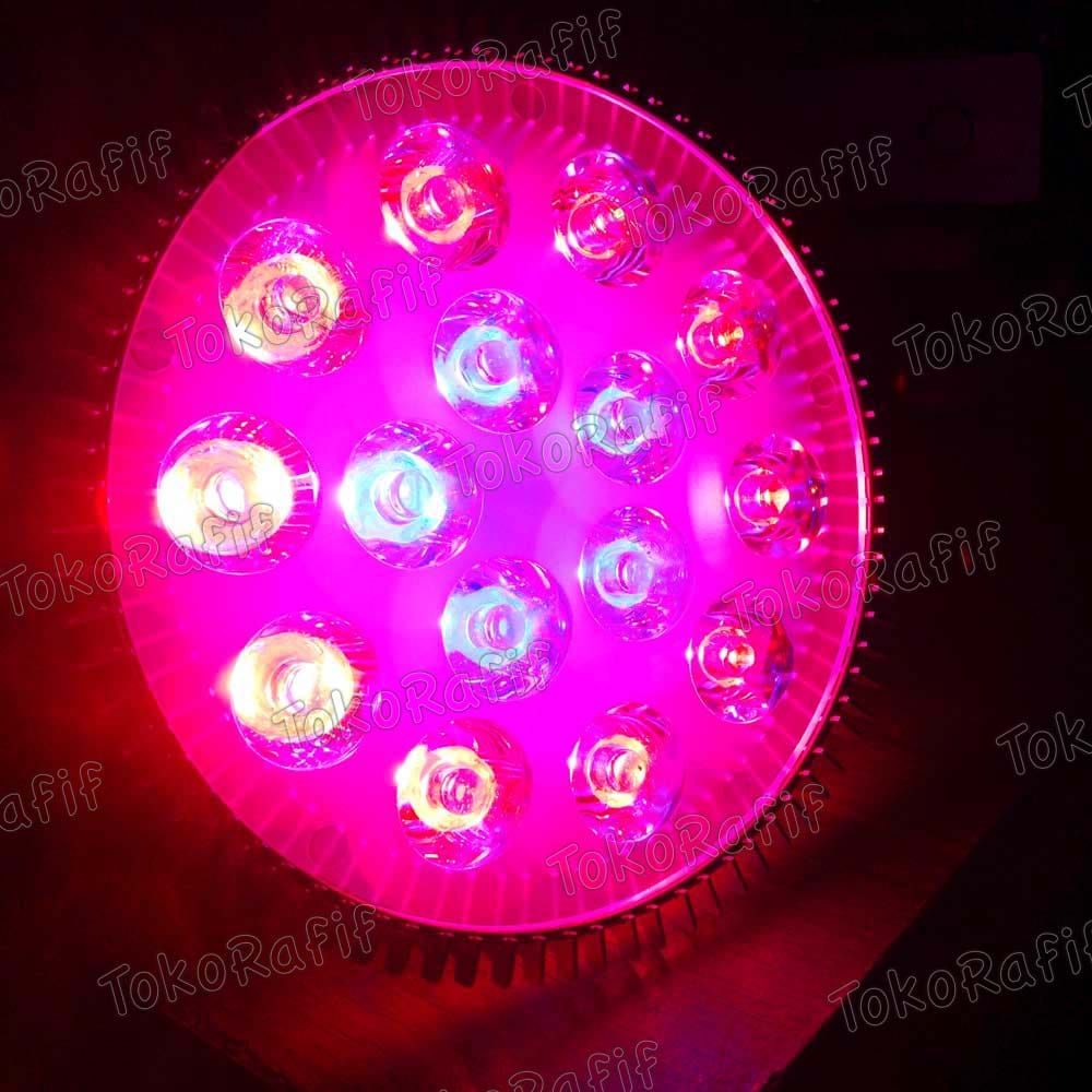 Growlight 15W