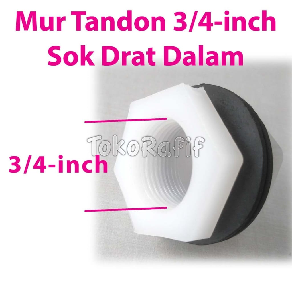 Mur Tandon 3/4-inch-Female