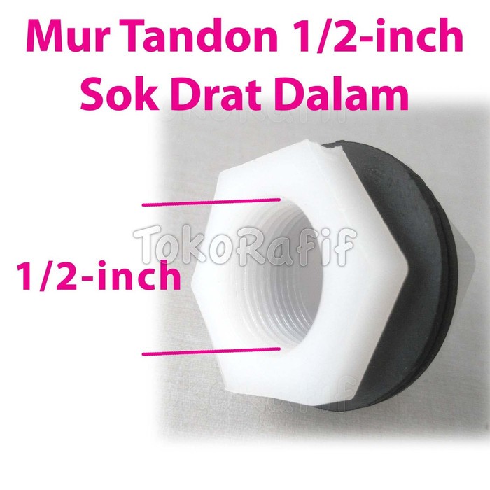 Mur Tandon 1/2-inch-Female Sok Drat Dalam