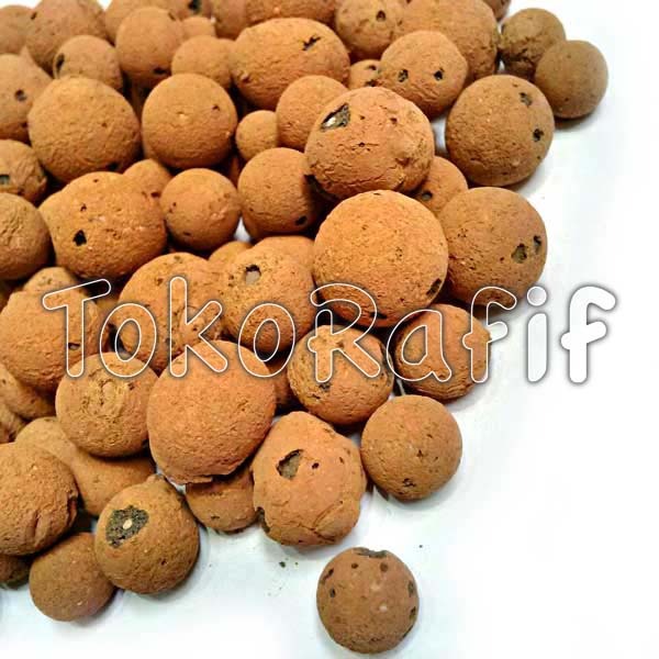 Hidroton 1Kg (kilogram) Hydroton media tanam netral