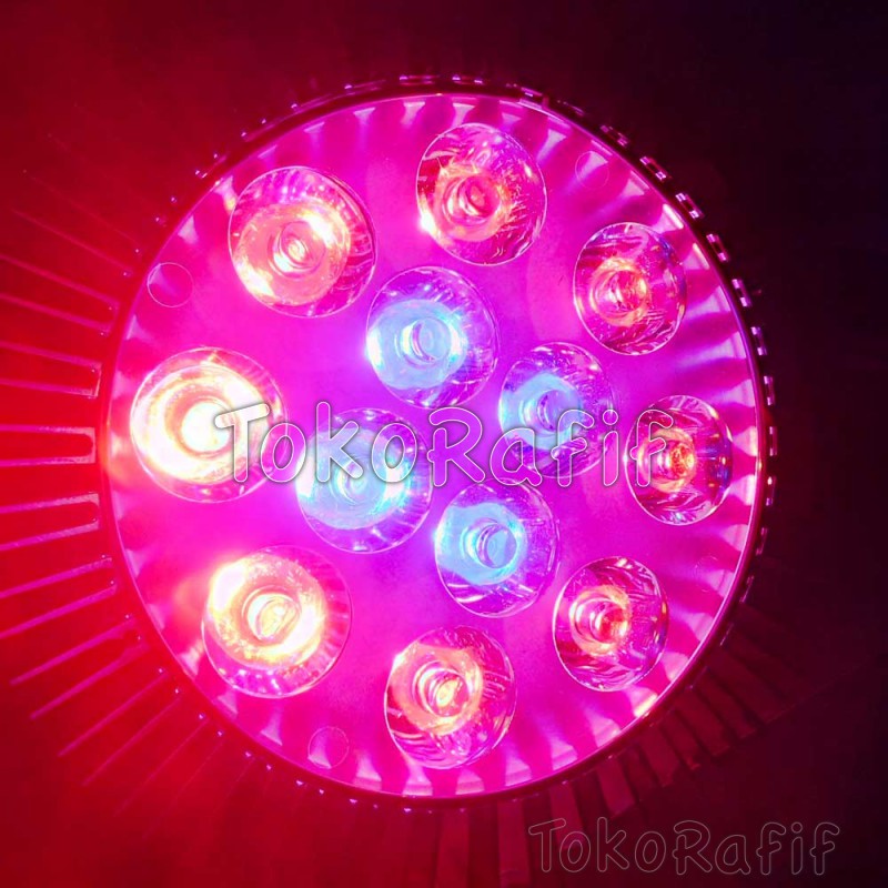 Growlight 12W Spectrum