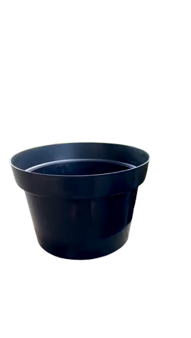 Pot Bungan hitam 35 Noni