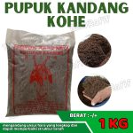 Pupuk Kandang Kohe Siap Pakai